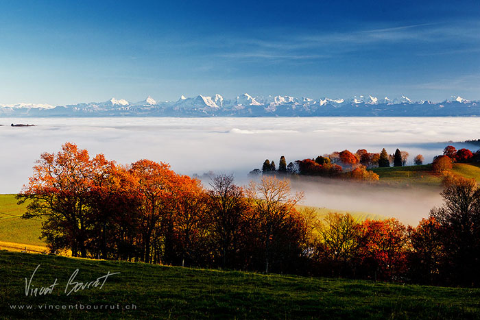 Mer de brouillard