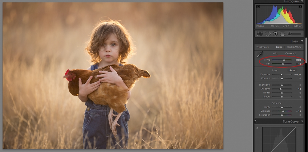 Lisa-Holloway-08