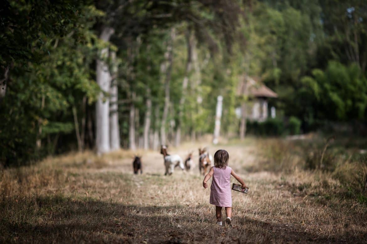 Photographier le quotidien, en faire un album qui raconte et sublime ces petits détails de nos vies.