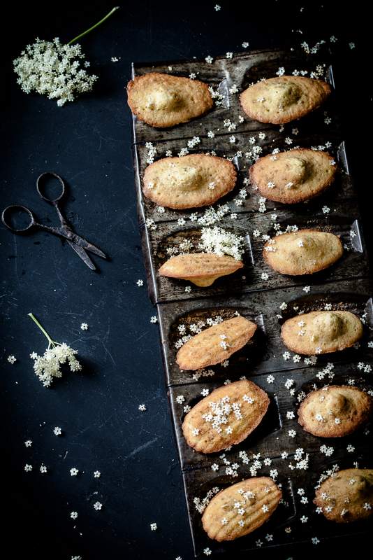 Photographie culinaire et artistique : madeleines