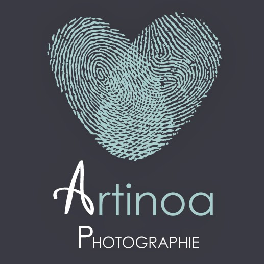 Logo Artinoa