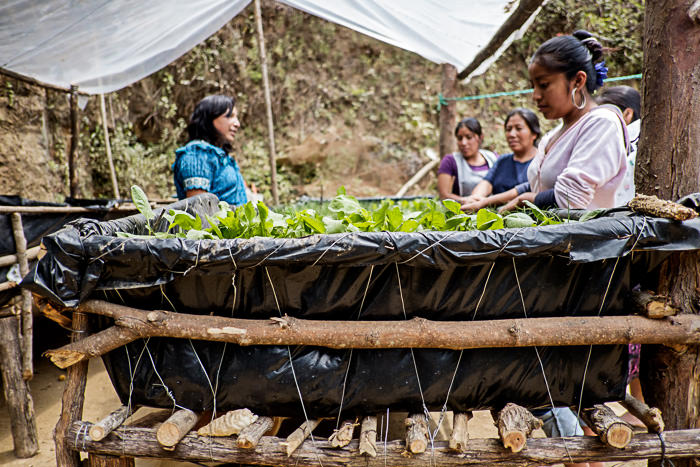 0005-Oxfam-Guatemala-(c) jacques mateos-1788