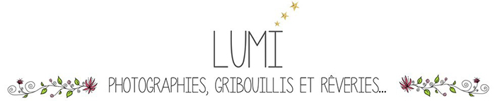 Logo http://www.lumi.me