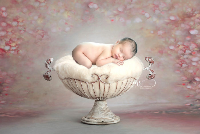 Photographie de nouveau-né, baby-posing artistique.